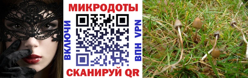 Псилоцибиновые грибы GOLDEN TEACHER  Костерёво 